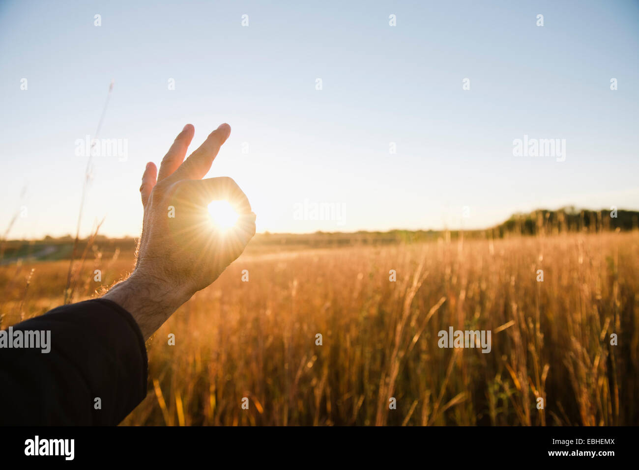Hand des Bauers rings um Sonne im Weizenfeld in der Abenddämmerung, Plattsburg, Missouri, USA Stockfoto