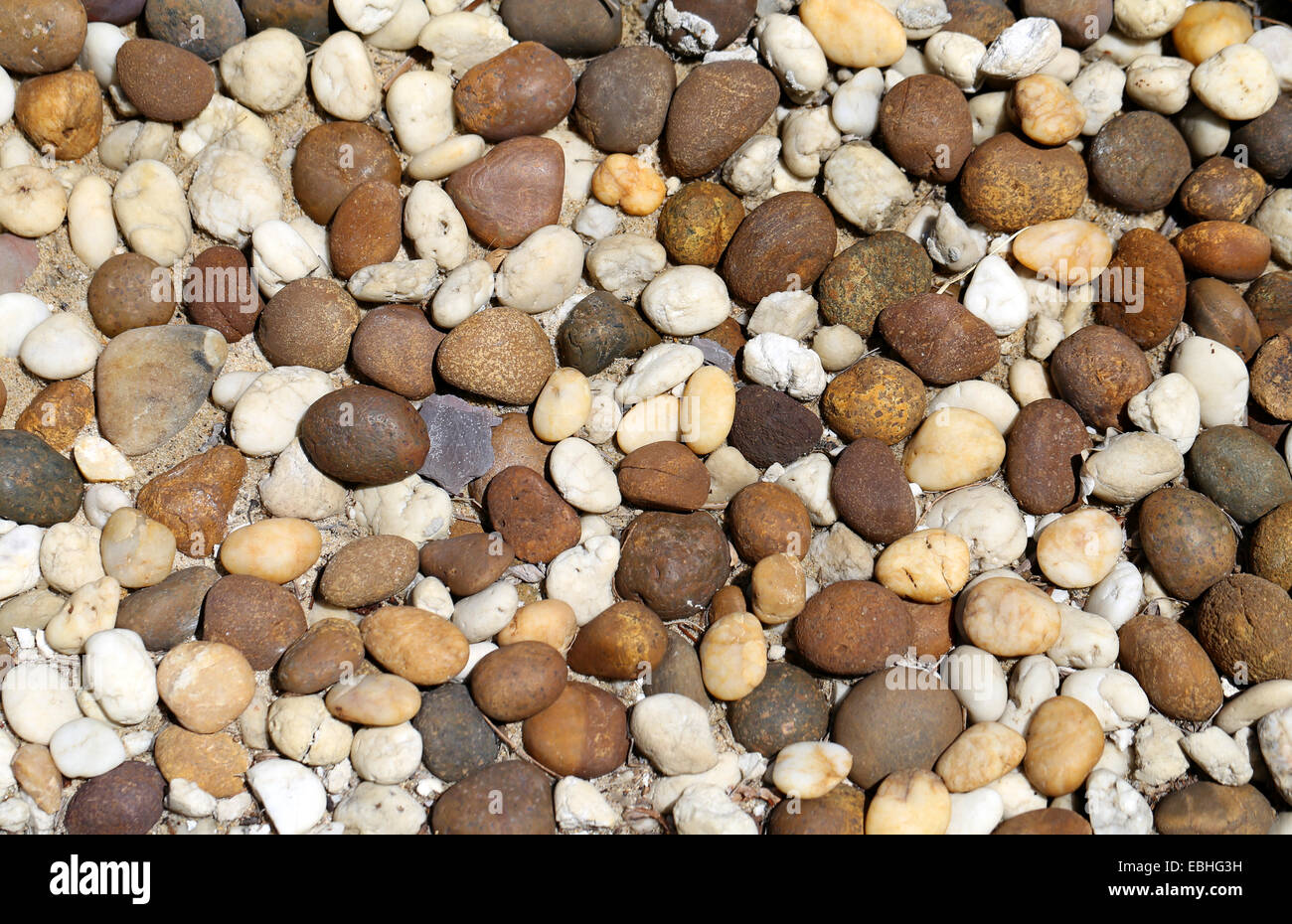 Die Textur der Kieselsteine am Strand in Thailand auf Koh Samui Stockfoto