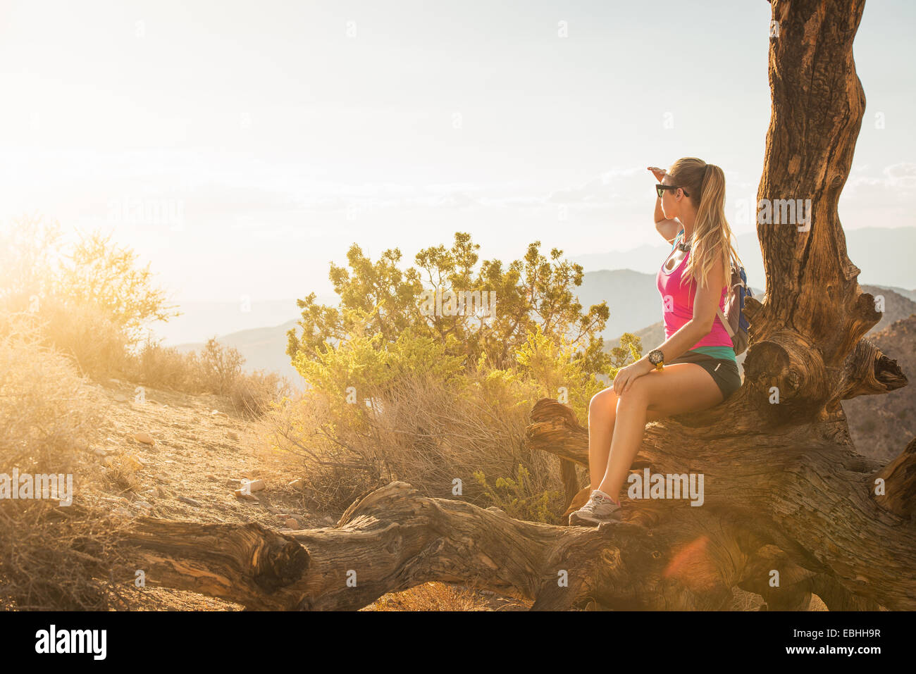 Frau macht Pause auf Berg, Joshua Tree Nationalpark, Kalifornien, USA Stockfoto