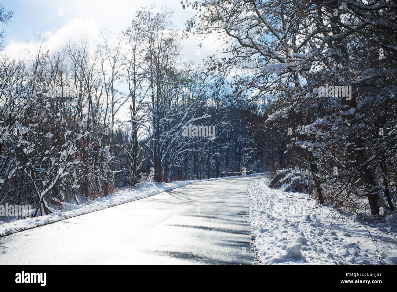 Die Wintersonne starrt auf der schwarzen Straße durch einen verschneiten ländlichen Teil der Berkshires in Massachusetts. Stockfoto