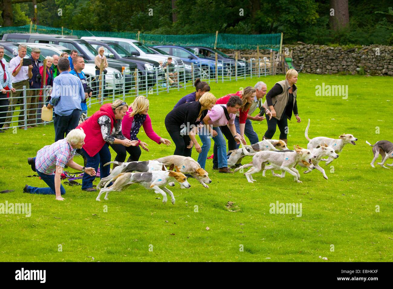 Trailhounds freigesetzt. Rydal Rydal Halle Ambleside Seenplatte Cumbria England UK Stockfoto
