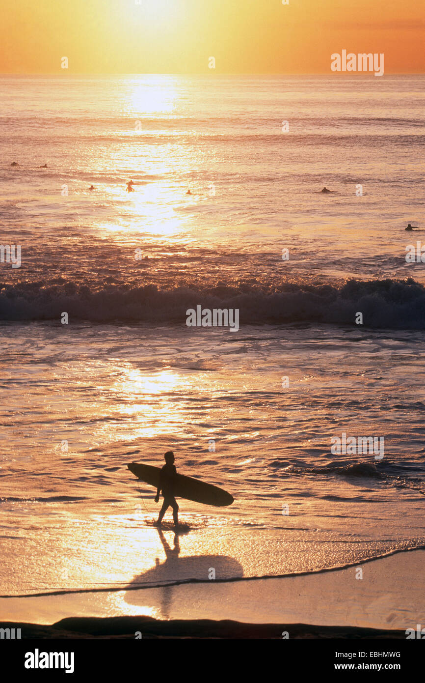 Surfer zu Fuß den Strand bei Sonnenuntergang, La Jolla, Kalifornien, USA Stockfoto