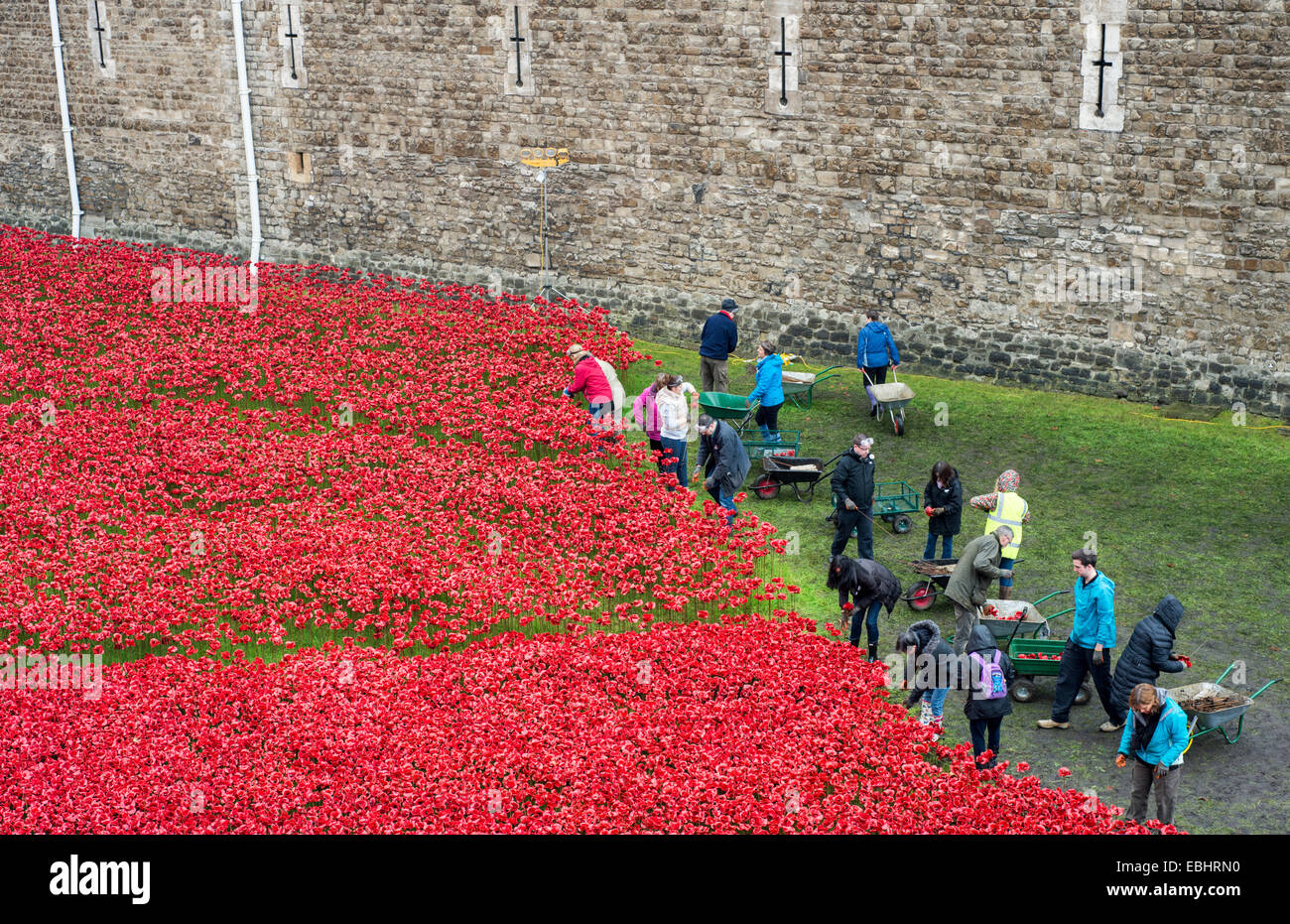 Freiwillige entfernen die Keramik Mohnblumen bei der Blut Mehrfrequenzdarstellung Länder und Meere von Red Installation am Tower of London England UK Stockfoto