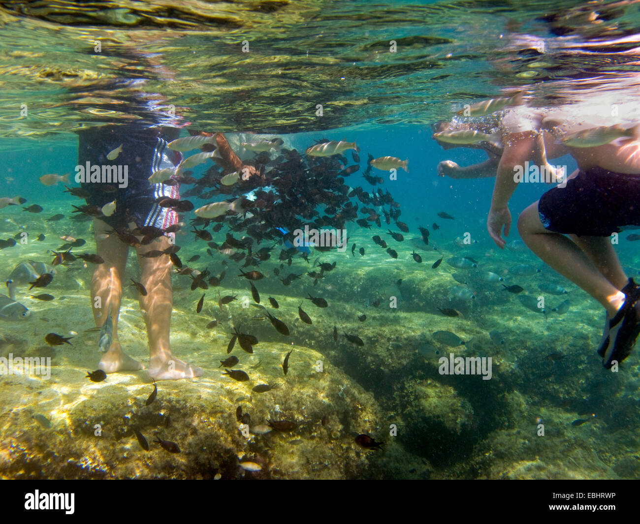 Touristen sind Fütterung Fisch mit Brot unter Wasser, am Fig Tree Bay, Protaras, Zypern, Europa. Stockfoto