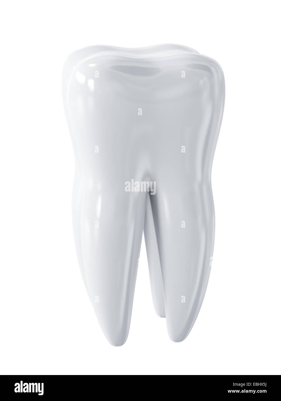 3D Render weißer Zahn isoliert auf weißem Hintergrund Stockfoto