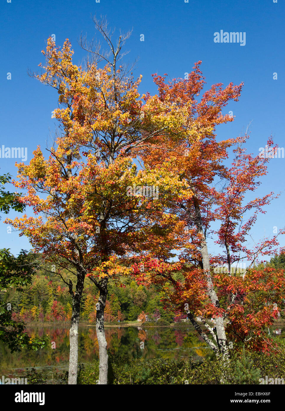 Wasser-Fluss-See-Szene Adirondack Mountains im Herbst Herbst Zeit des Jahres. Stockfoto
