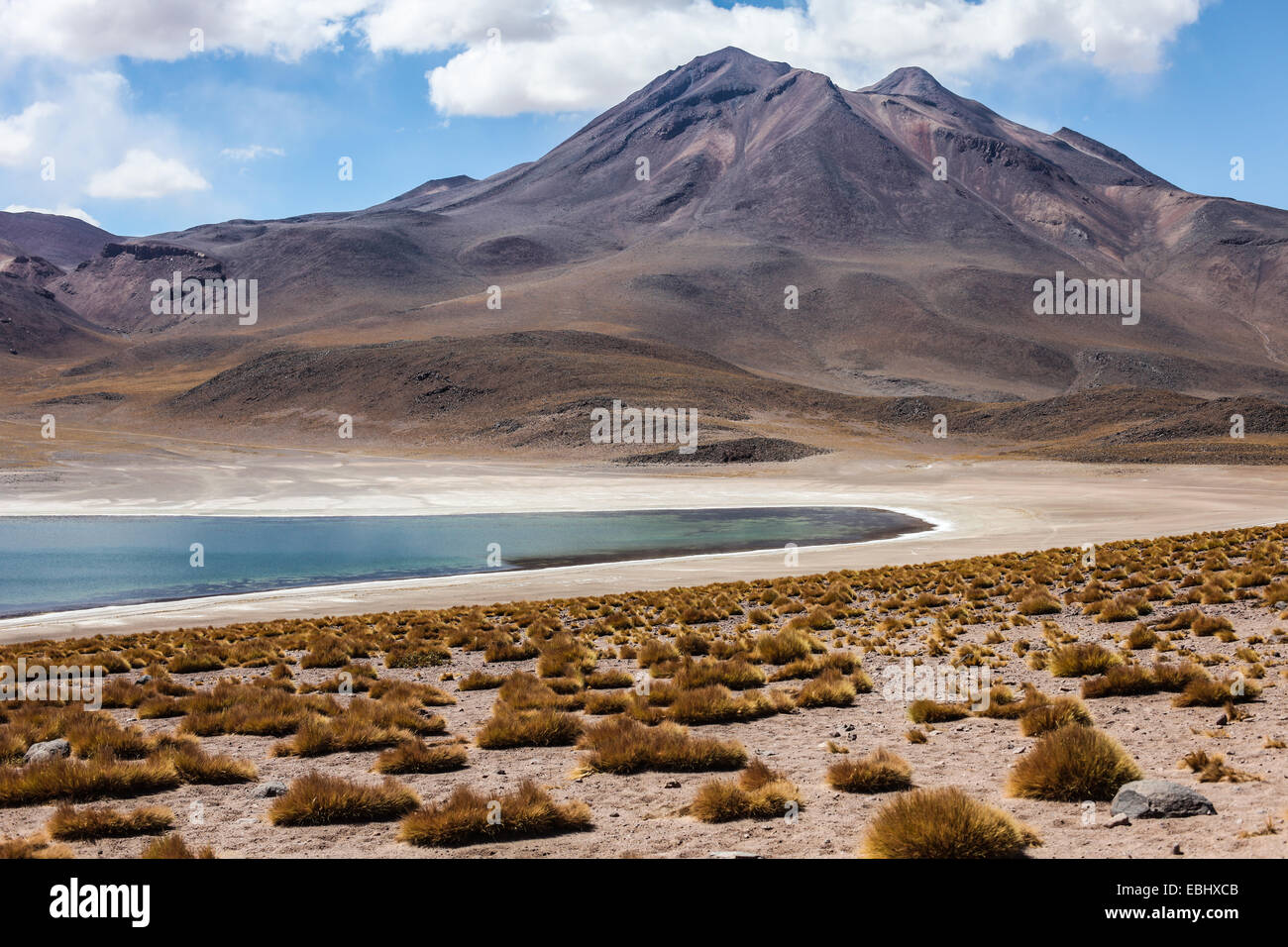 Chile Altiplano Miscanti Lagune in der Nähe von San Pedro de Atacama Stockfoto