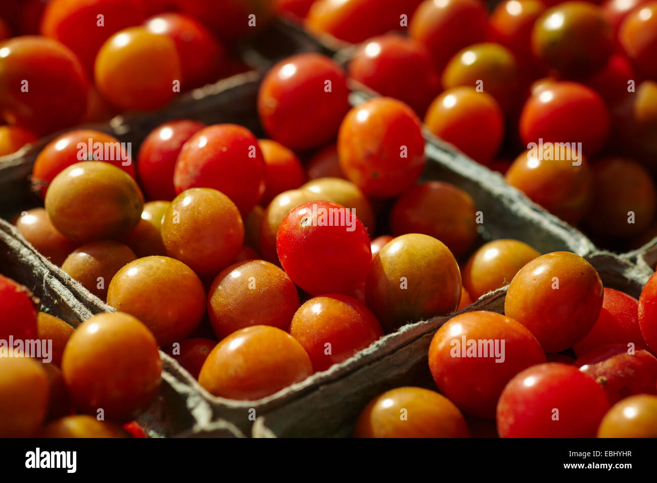 Cherry-Tomaten auf einem Bauernmarkt, Scotch Plains, New Jersey, USA Stockfoto
