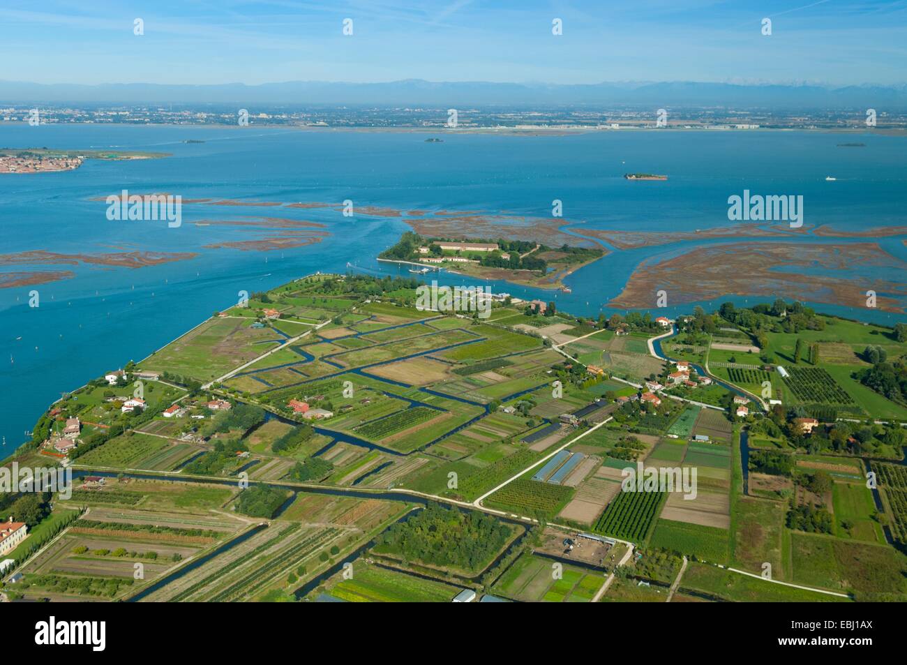 Luftaufnahme der Sant'Erasmo Insel, Venedig Lagune, Italien, Europa Stockfoto
