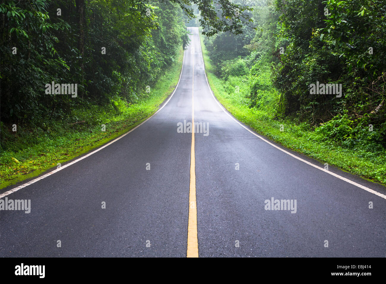 Straße und grün Wald, Khao Yai Nationalpark Thailand Stockfoto