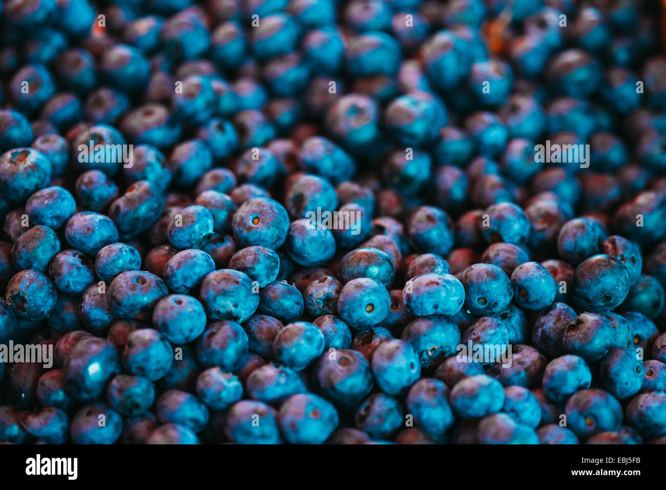 Frisches Obst Beryy Blaubeeren Hintergrund blaue Textur. Produktion von Wochenmarkt Stockfoto Frisches Obst Beryy Blaubeeren Hintergrund blaue Textur. Produktion von Wochenmarkt Stockfoto