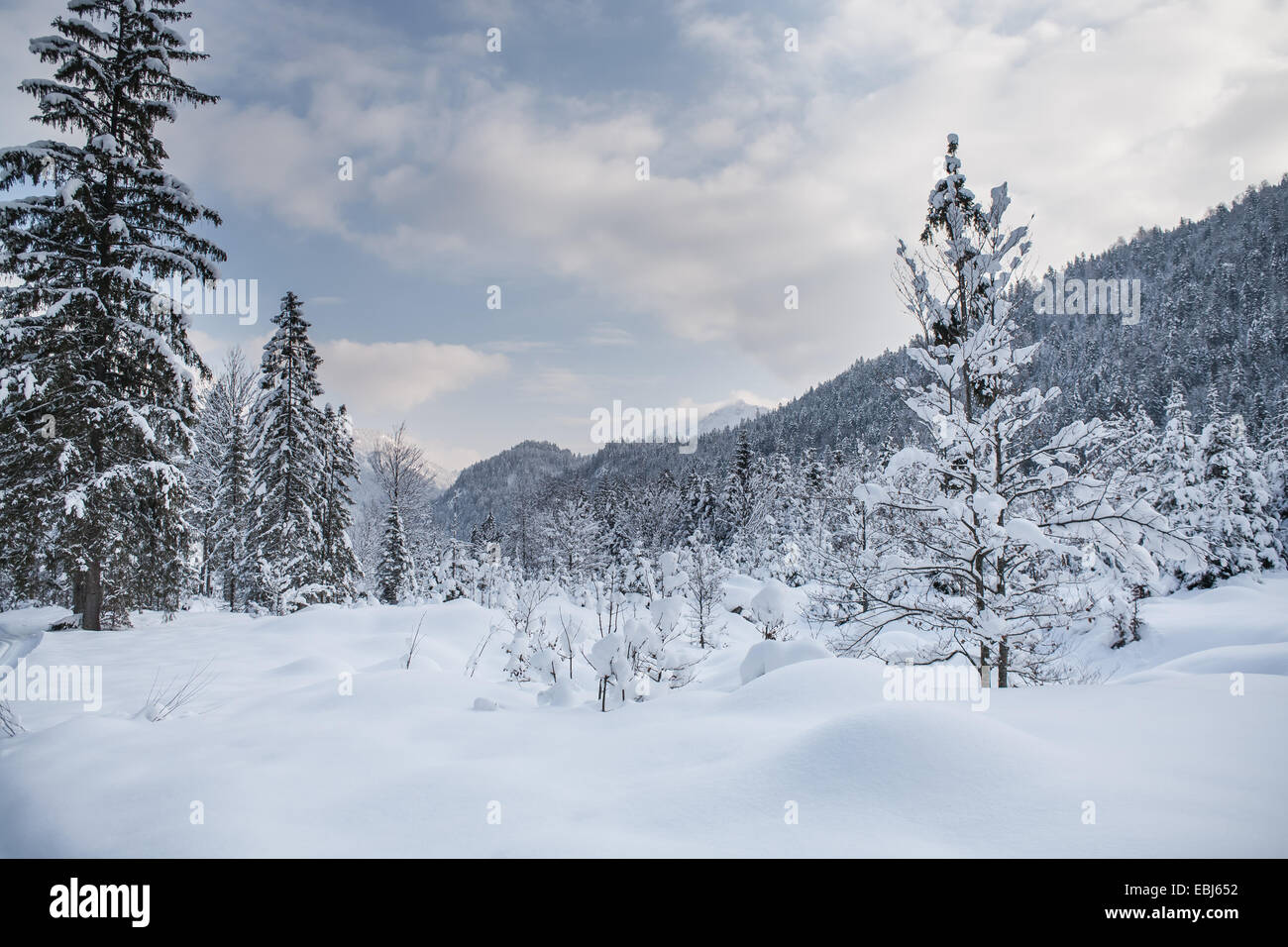 Langlaufloipe in der Nähe von Bayrischzell in den Alpen, Bayern, Deutschland Stockfoto