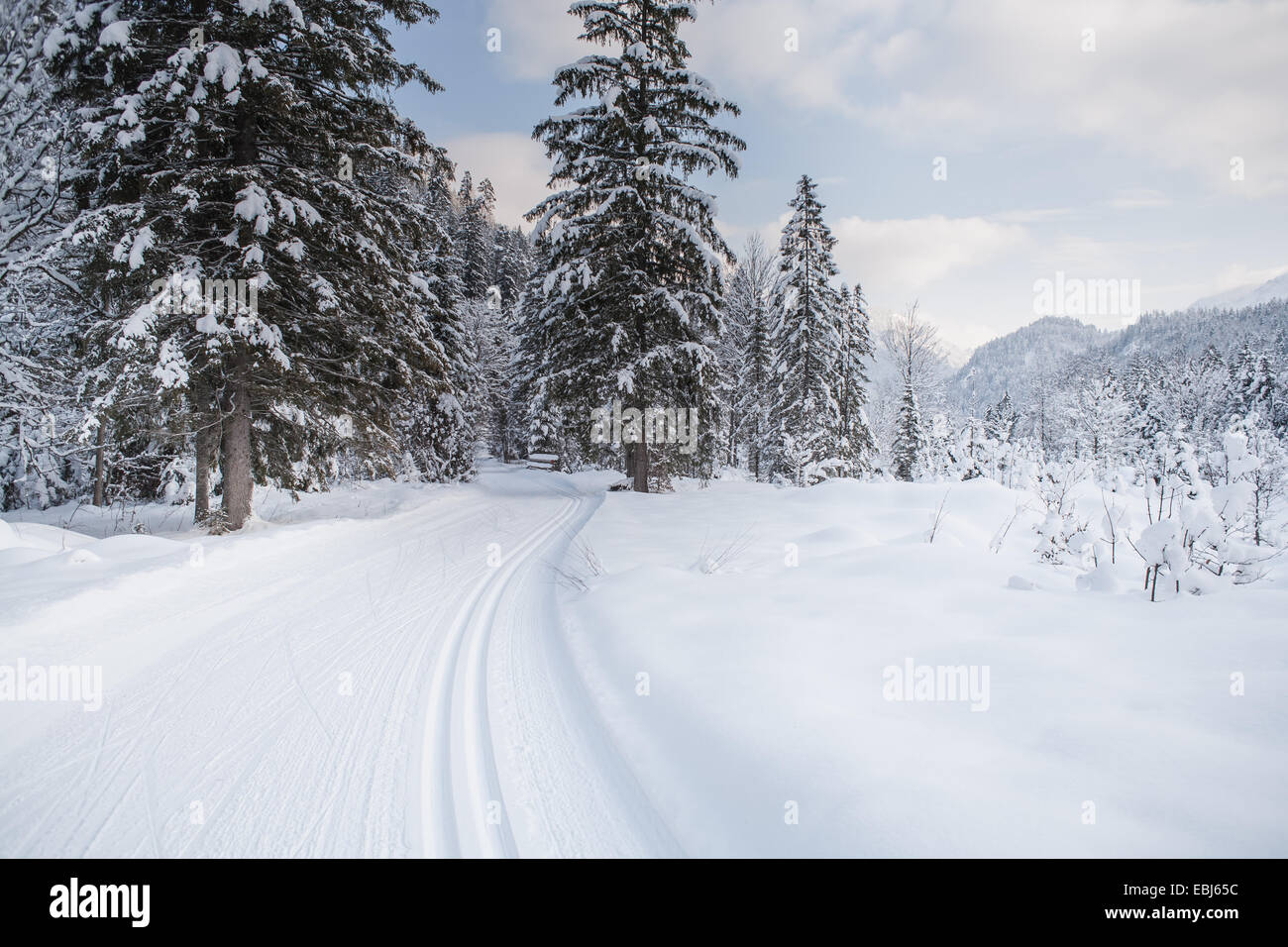 Langlaufloipe in der Nähe von Bayrischzell in den Alpen, Bayern, Deutschland Stockfoto