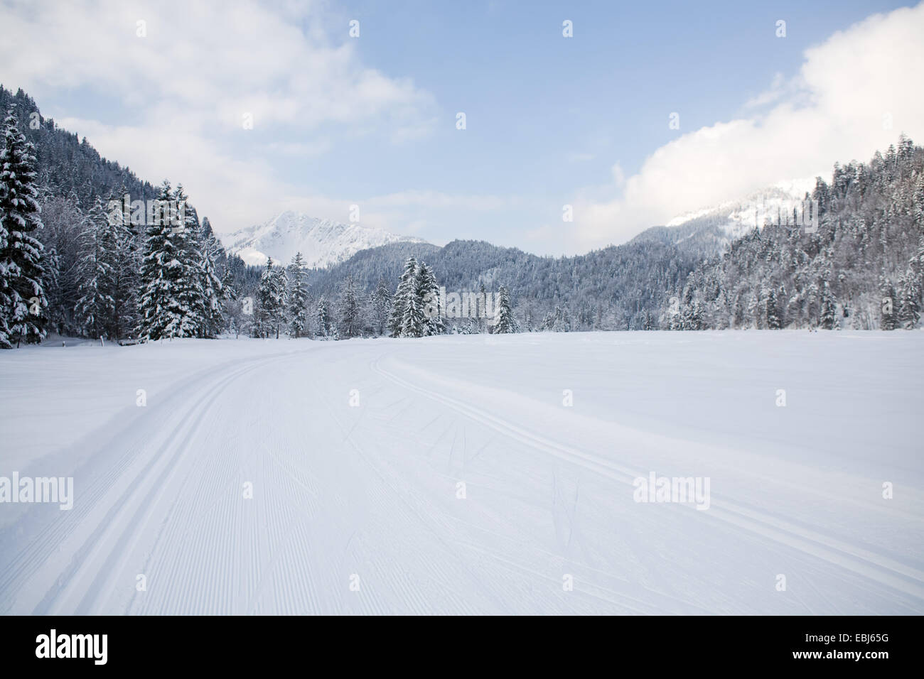 Langlaufloipe in der Nähe von Bayrischzell in den Alpen, Bayern, Deutschland Stockfoto