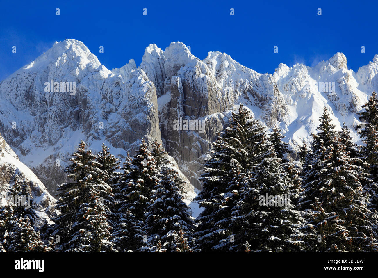 Blick auf Berg Säntis, Schweiz, Appenzell, Alpstein Stockfoto