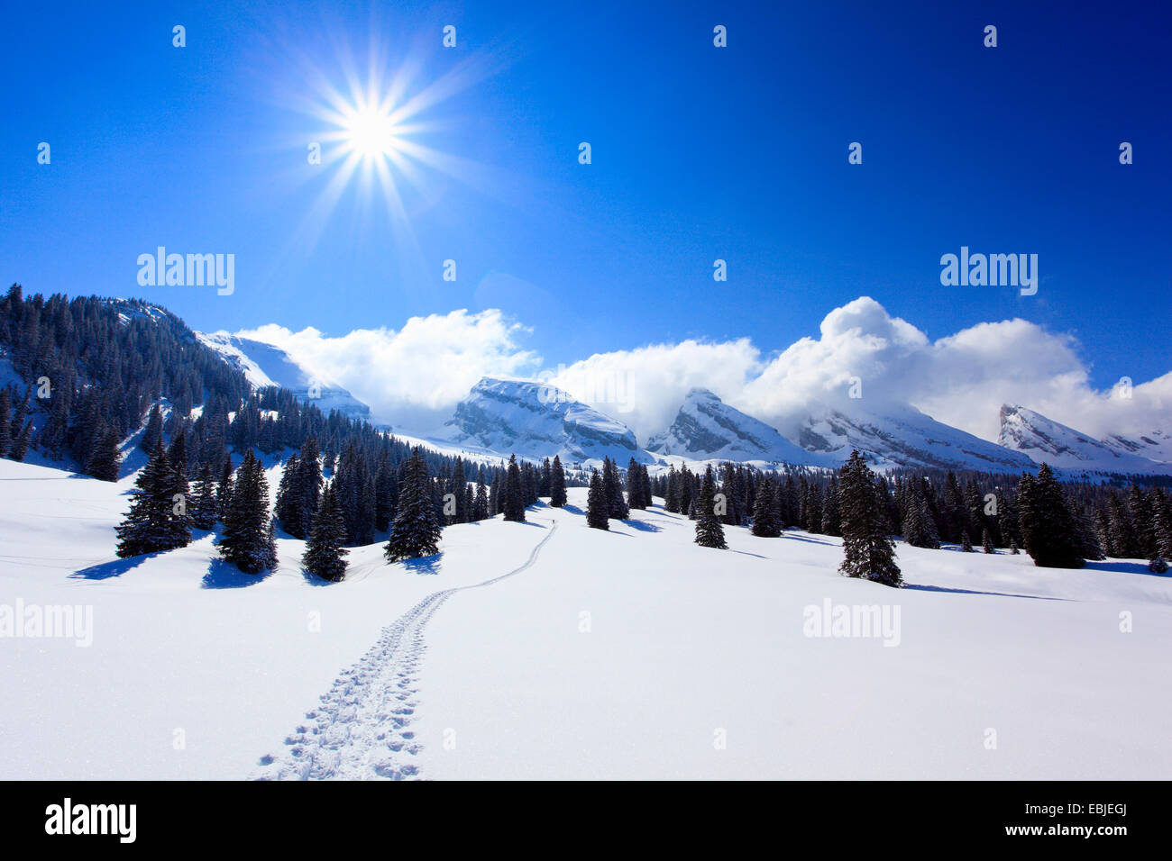 Churfirsten-Bergkette im Winter, Schweiz, Toggenburg Stockfoto