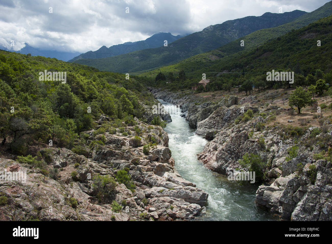 Fango-Fluss, Frankreich, Corsica Stockfoto