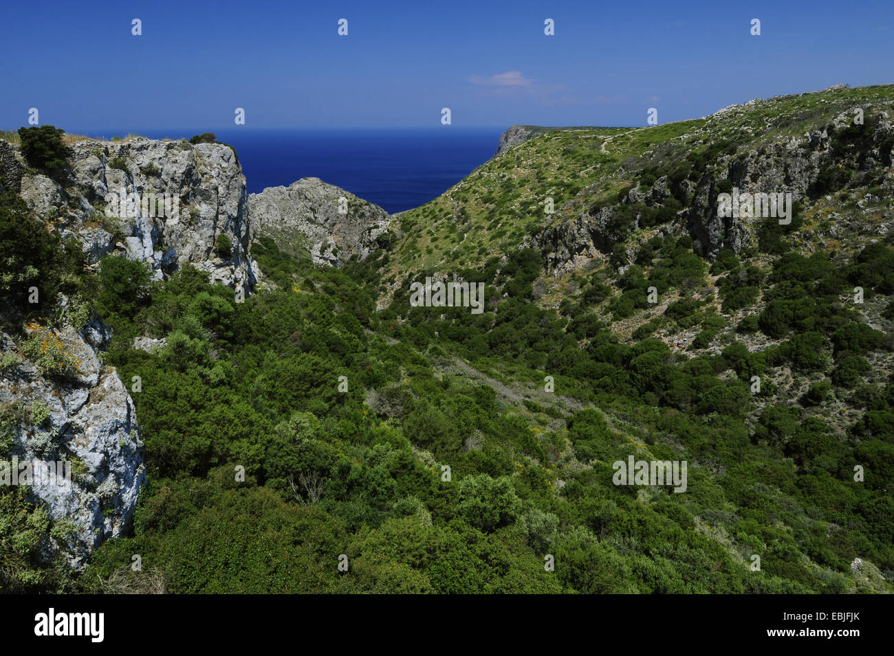 Küstenlandschaft mit Phrygana auf der Insel Kythira, Griechenland, Kythira Stockfoto