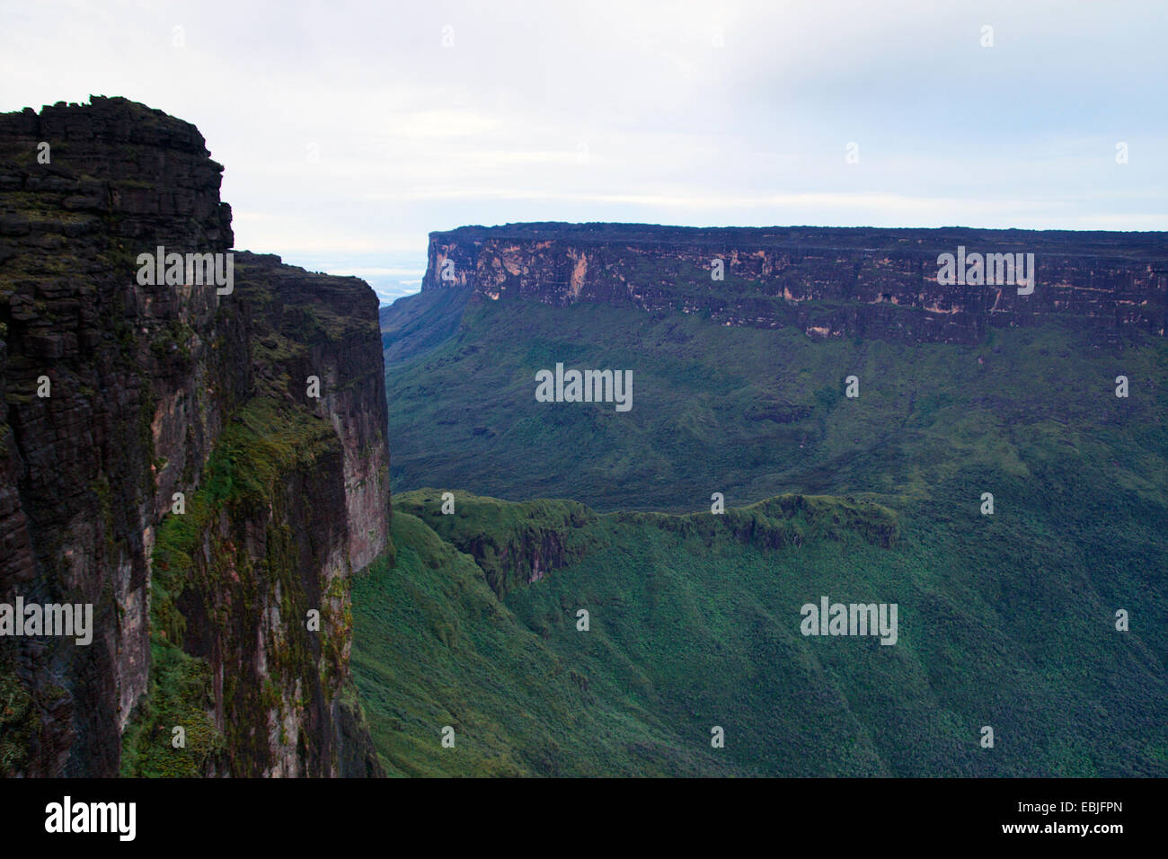 Tafelberge Mount Roraima (links) und Kukenam Tepui (hinten) von La Ventana, Venezuela, Canaima National Park gesehen Stockfoto