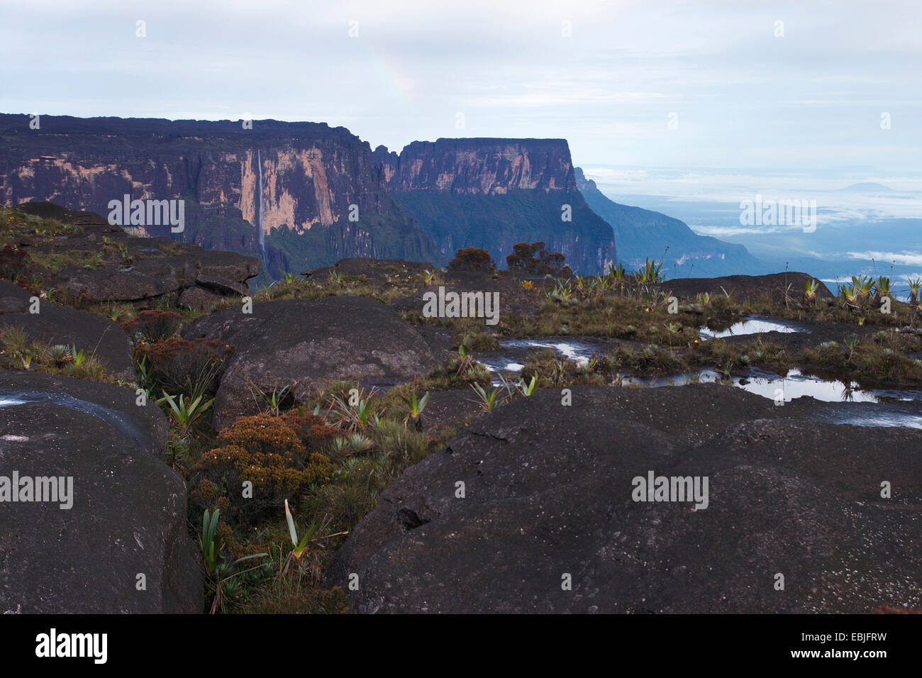 Tafelberge Mount Roraima (links) und Kukenam Tepui (hinten) von La Ventana, Venezuela, Canaima National Park gesehen Stockfoto