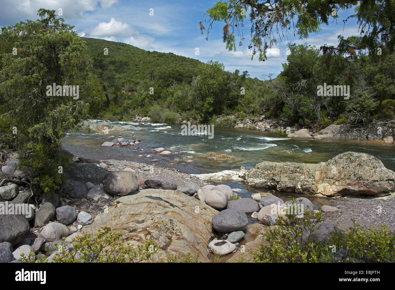 Fango-Fluss, Frankreich, Corsica Stockfoto