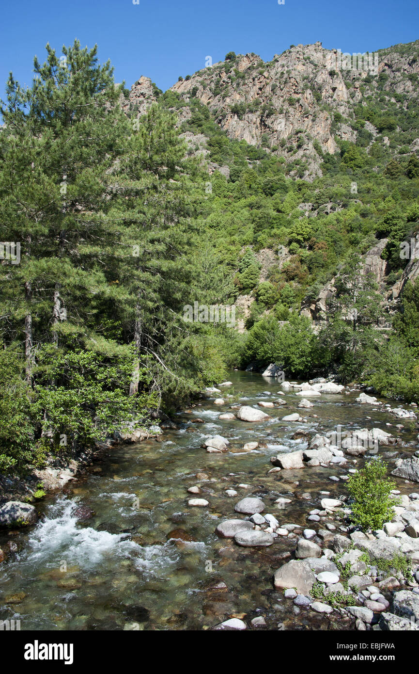 ASCO-Fluss, Frankreich, Corsica Stockfoto