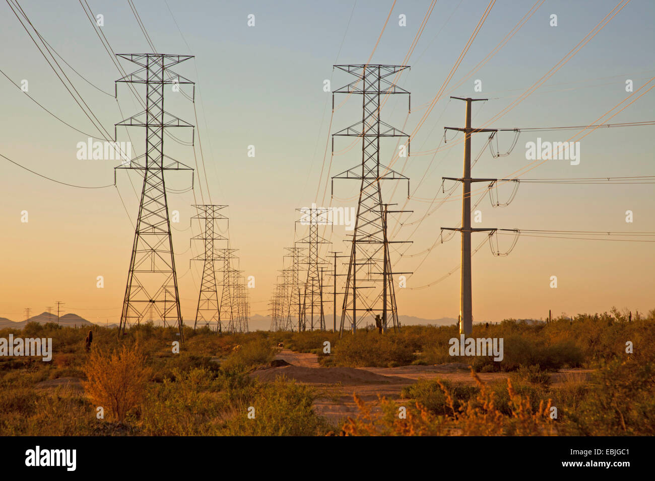 Strommasten und Hochspannungs-Leitungen in der Wüste, USA, Arizona, Sonora Stockfoto