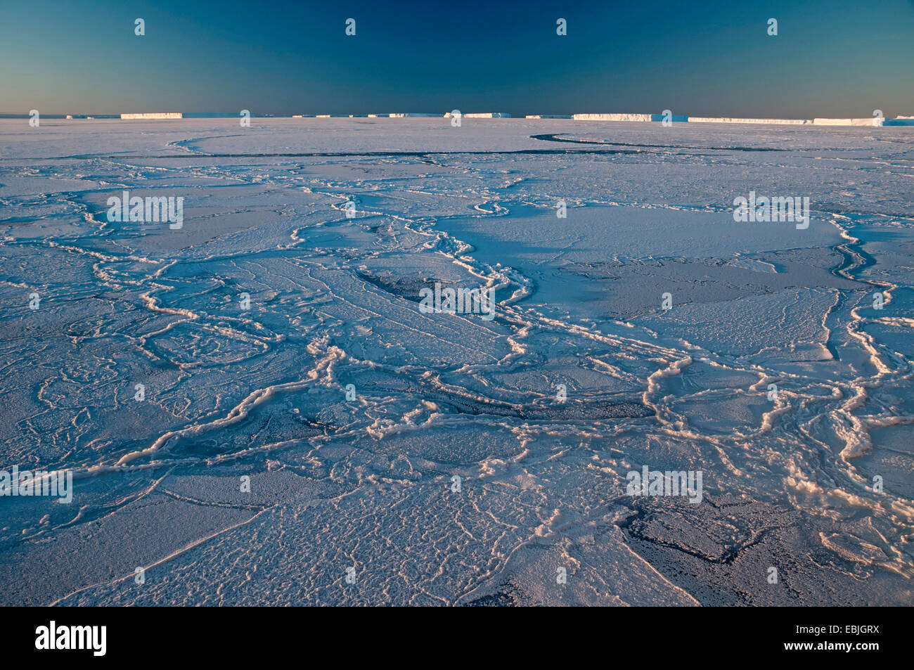 Packeis-Feld bei extremen Frost in der Nähe der Eisberg ruhende legen Austasen bei Sonnenaufgang, Antarktis Stockfoto