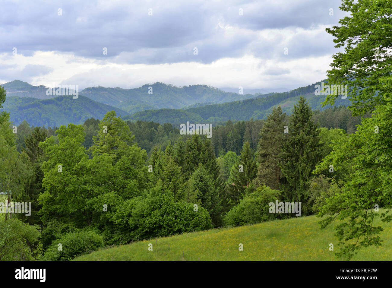 Landschaft in der Steiermark, Österreich, Steiermark Stockfoto