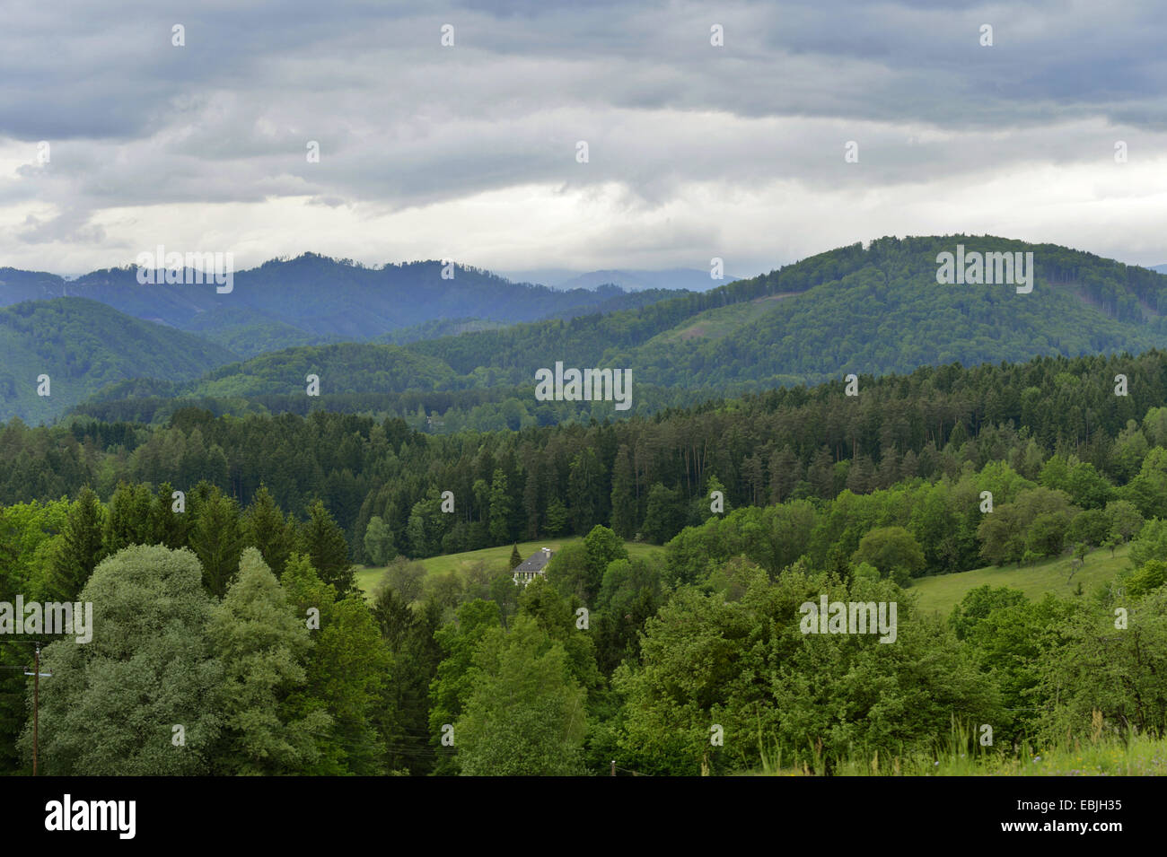 Landschaft in der Steiermark mit Gewitterwolken, Österreich, Steiermark Stockfoto