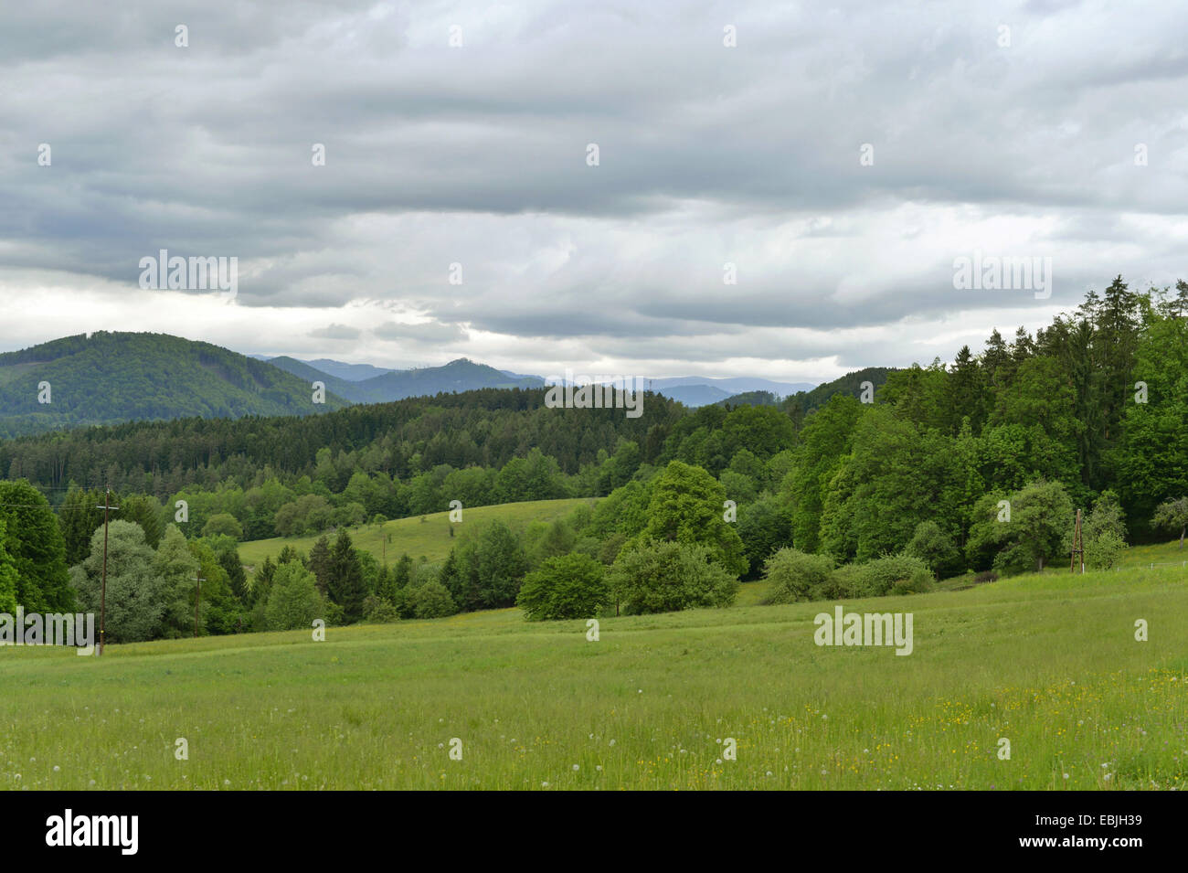 Landschaft in der Steiermark mit Gewitterwolken, Österreich, Steiermark Stockfoto