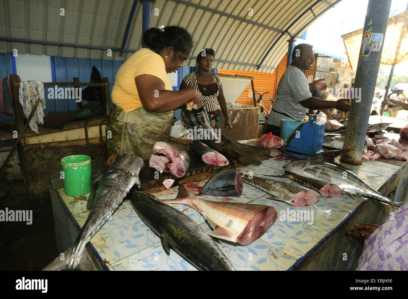 Marketwoman auf einem Fischmarkt, Sri Lanka, Westprovinz, Negombo Stockfoto