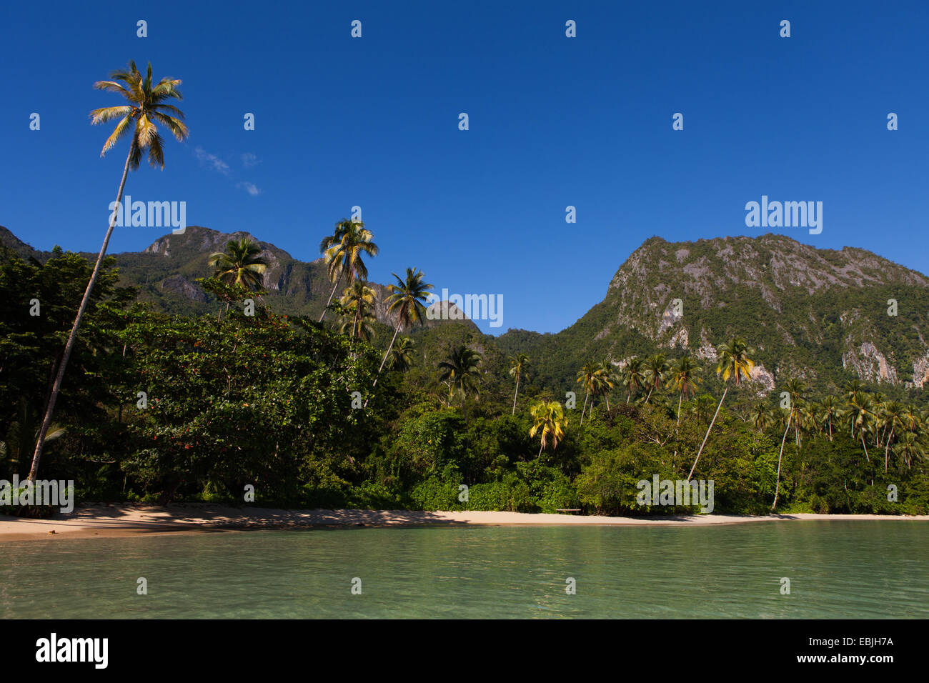 Tropischer Strand der Insel Seram, Molukken, Indonesien Stockfotografie ...