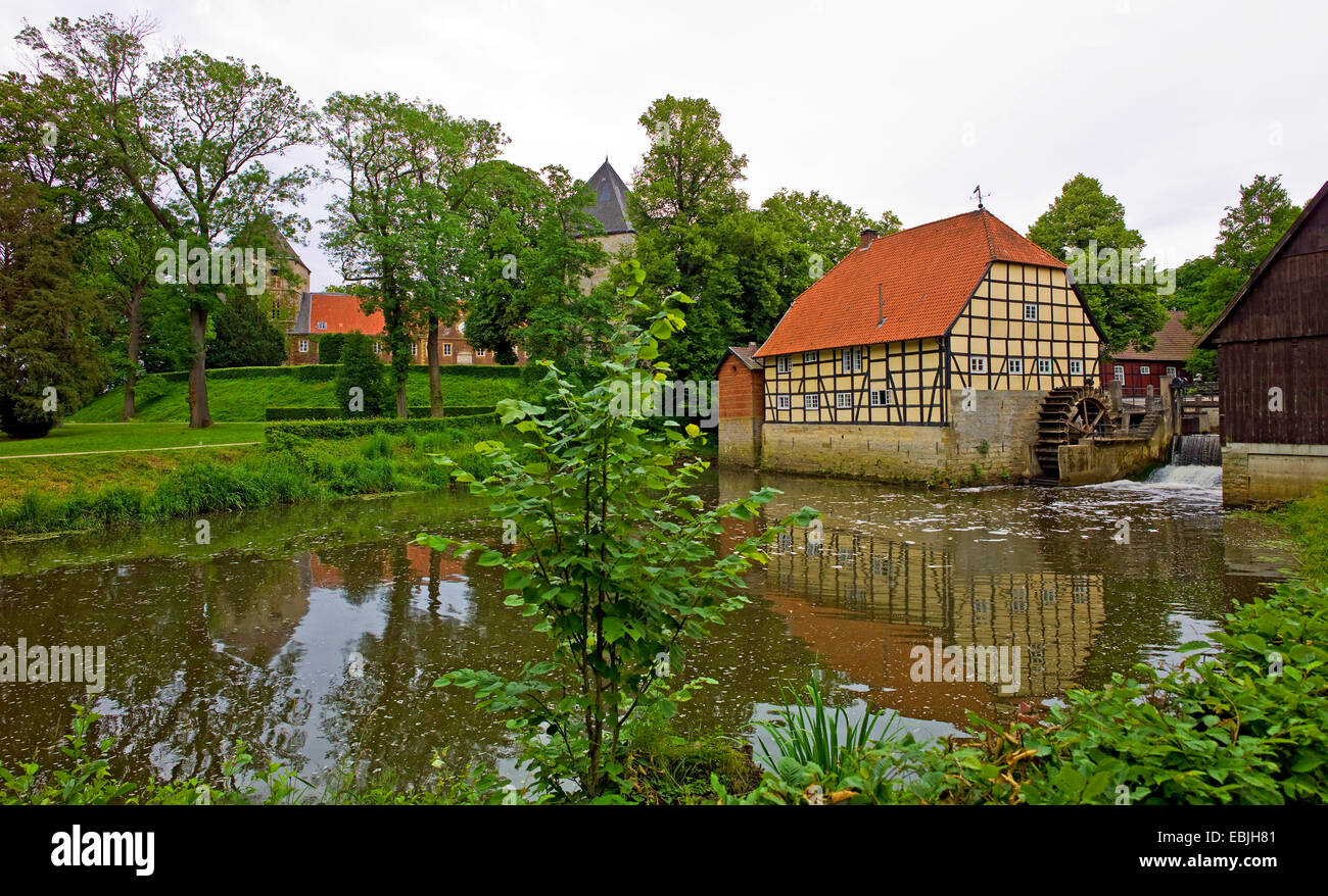 Schlossgarten von Schloss Rheda mit Wassermühle am Fluss Ems, Germany, North Rhine-Westphalia, Rheda-Wiedenbrueck Stockfoto