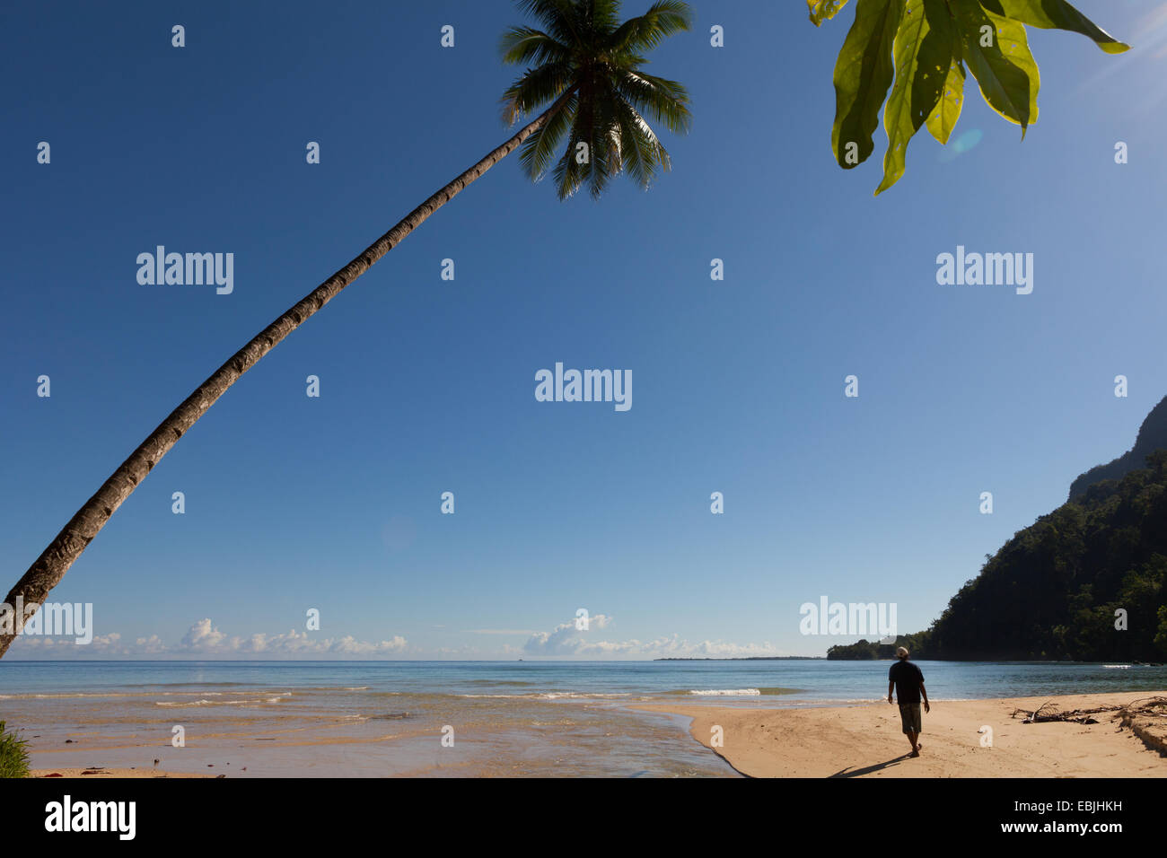 Ein Mann, der auf einem Sandstrand spaziert ist, der mit einem Kokosnussbaum verziert ist, neben der Mündung eines Bachs in Saleman, North Seram, Central Maluku, Maluku, Indonesien. Stockfoto