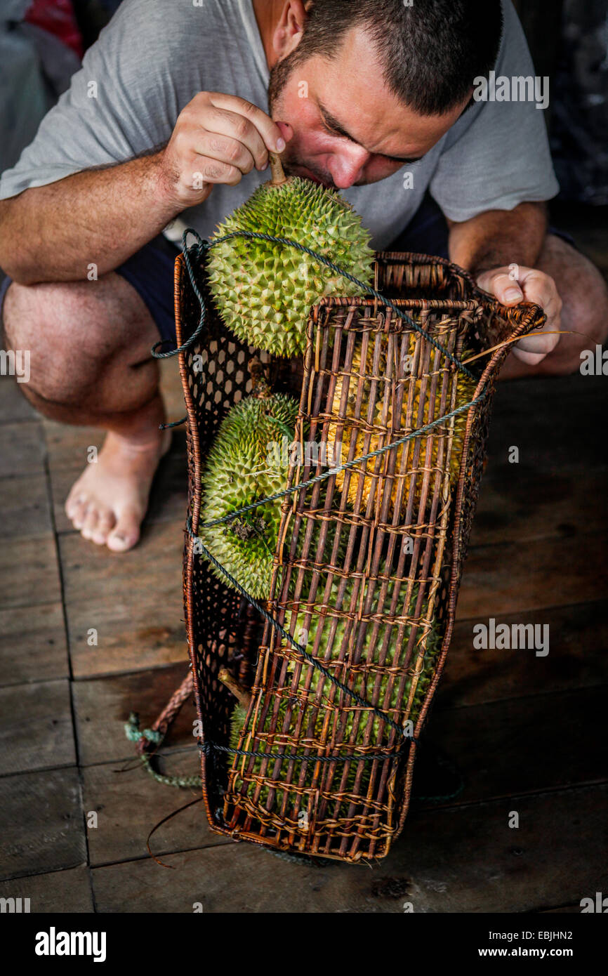 Ein Mann, der frisch geerntete Durian-Früchte im abgelegenen Dorf Nanga Raun in Kalis, Kapuas Hulu, West Kalimantan, Indonesien, riecht. Stockfoto