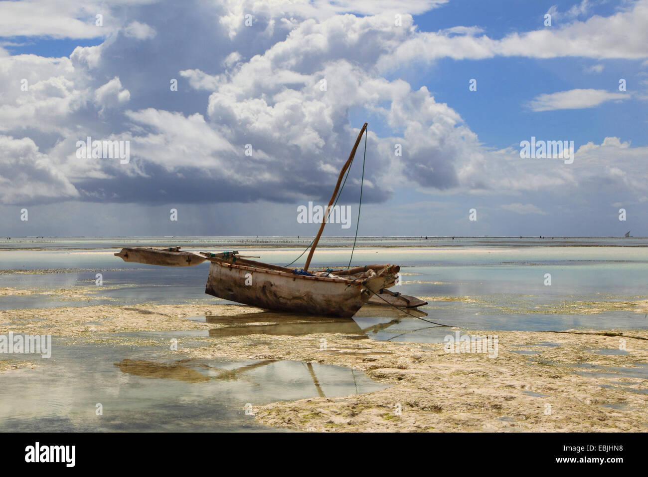 Dhau bei Ebbe am Strand, Tansania, Sansibar Stockfoto