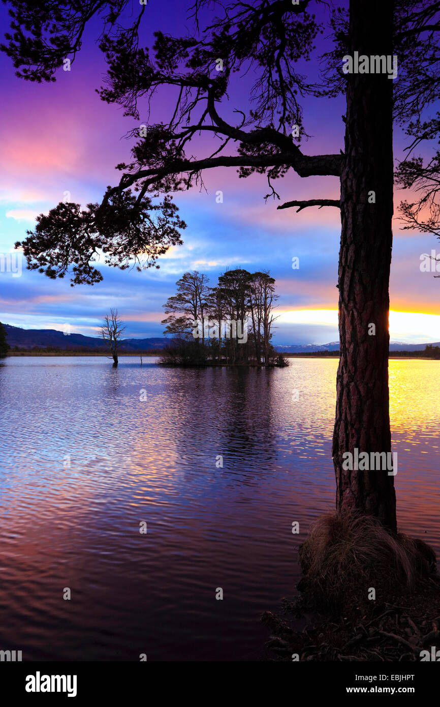 Loch Mallachie in Twilight, Großbritannien, Schottland, Cairngorm National Park Stockfoto