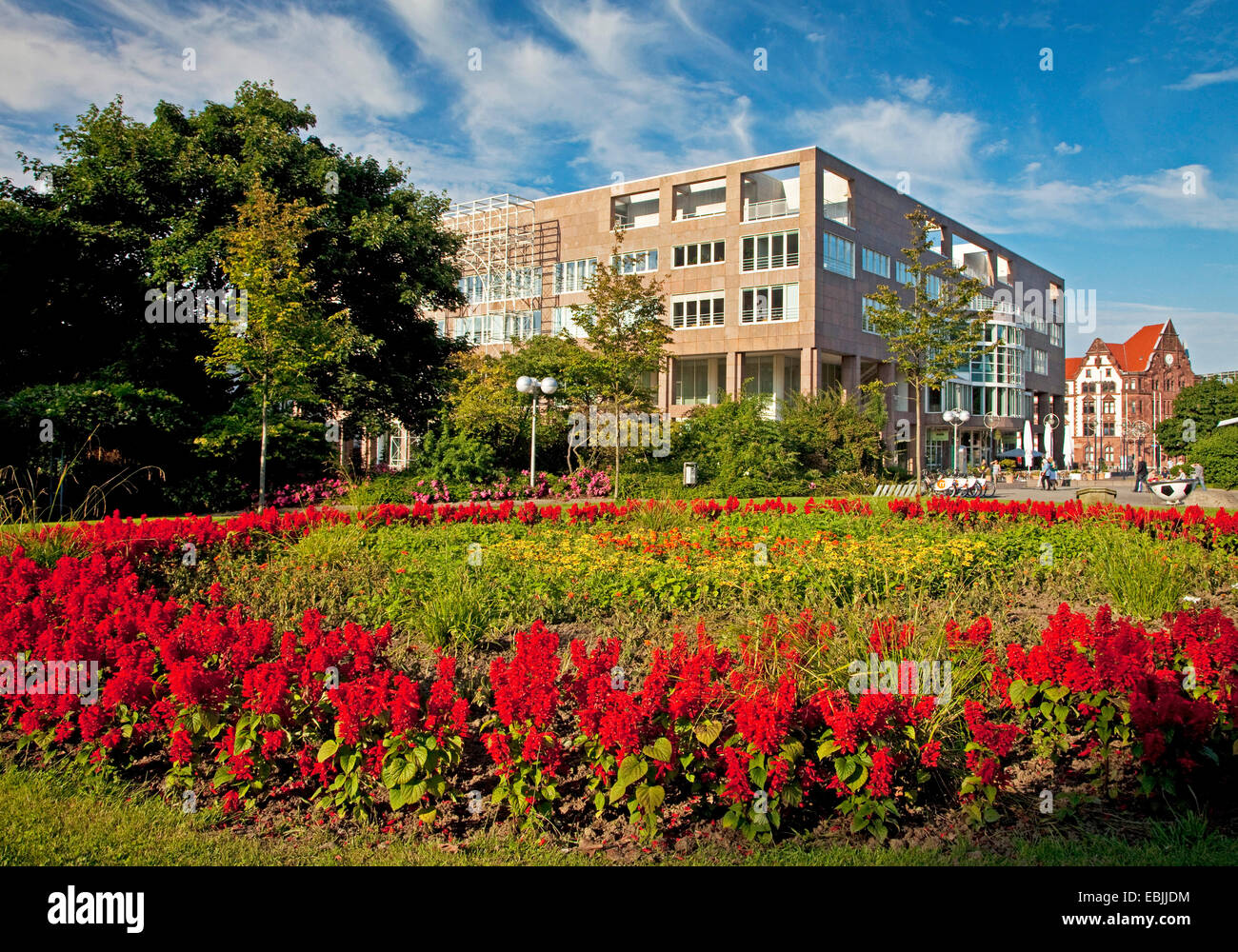 Parken Sie Stadtgarten mit neuen und alten Rathaus, Dortmund, Ruhrgebiet, Nordrhein-Westfalen, Deutschland Stockfoto