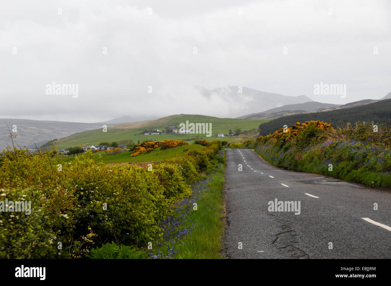 Straße in der Nähe von Machrie Moor, Großbritannien, Schottland, Arran-Island Stockfoto