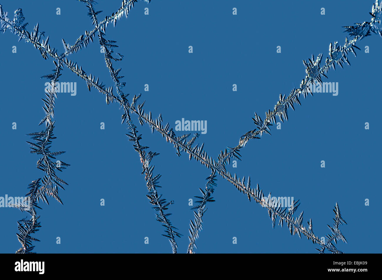 Eiskristalle entlang Spinnennetz, Antarktis Stockfoto
