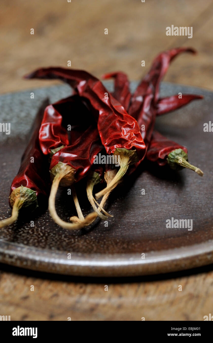 Getrocknete rote Chilischoten auf einem Teller, Nahaufnahme Stockfoto