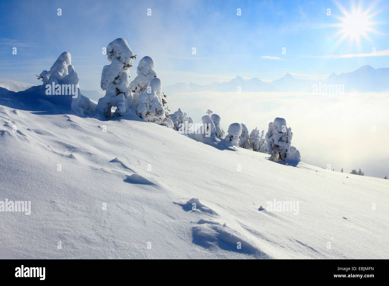 Panoramablick vom Schnee bedeckten Niederhorn, Schweiz, Berner Oberland, Berner Alpen Stockfoto