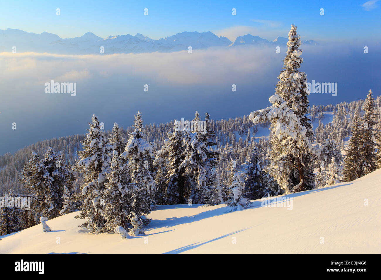 Panoramablick vom Schnee bedeckten Niederhorn, Schweiz, Berner Oberland, Berner Alpen Stockfoto