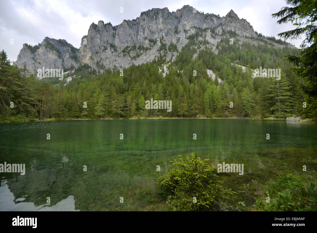 Bergsee vor drohenden Bergkette im Frühjahr, Österreich, Steiermark, Gruener siehe Stockfoto