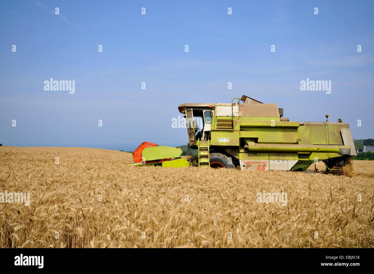 Mähdrescher im Getreidefeld, Frankreich Stockfoto