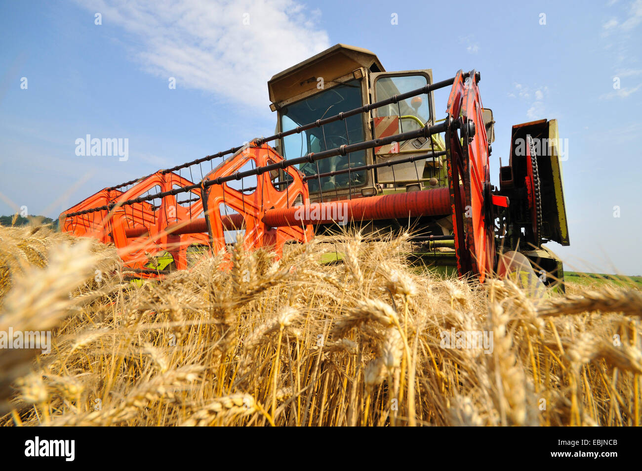 Mähdrescher in Reifen Getreidefeld, Frankreich Stockfoto