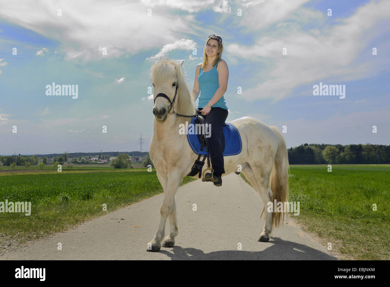 Isländisches Pferd, Islandpferd, Island Pony (Equus Przewalskii F. Caballus), junge Mädchen reiten durch eine Landschaft von Wäldern und Wiesen auf ein Pony, Deutschland, Bayern, Oberpfalz Stockfoto
