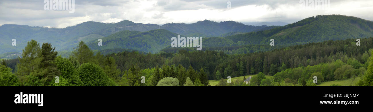 Berglandschaft, Österreich, Steiermark Stockfoto