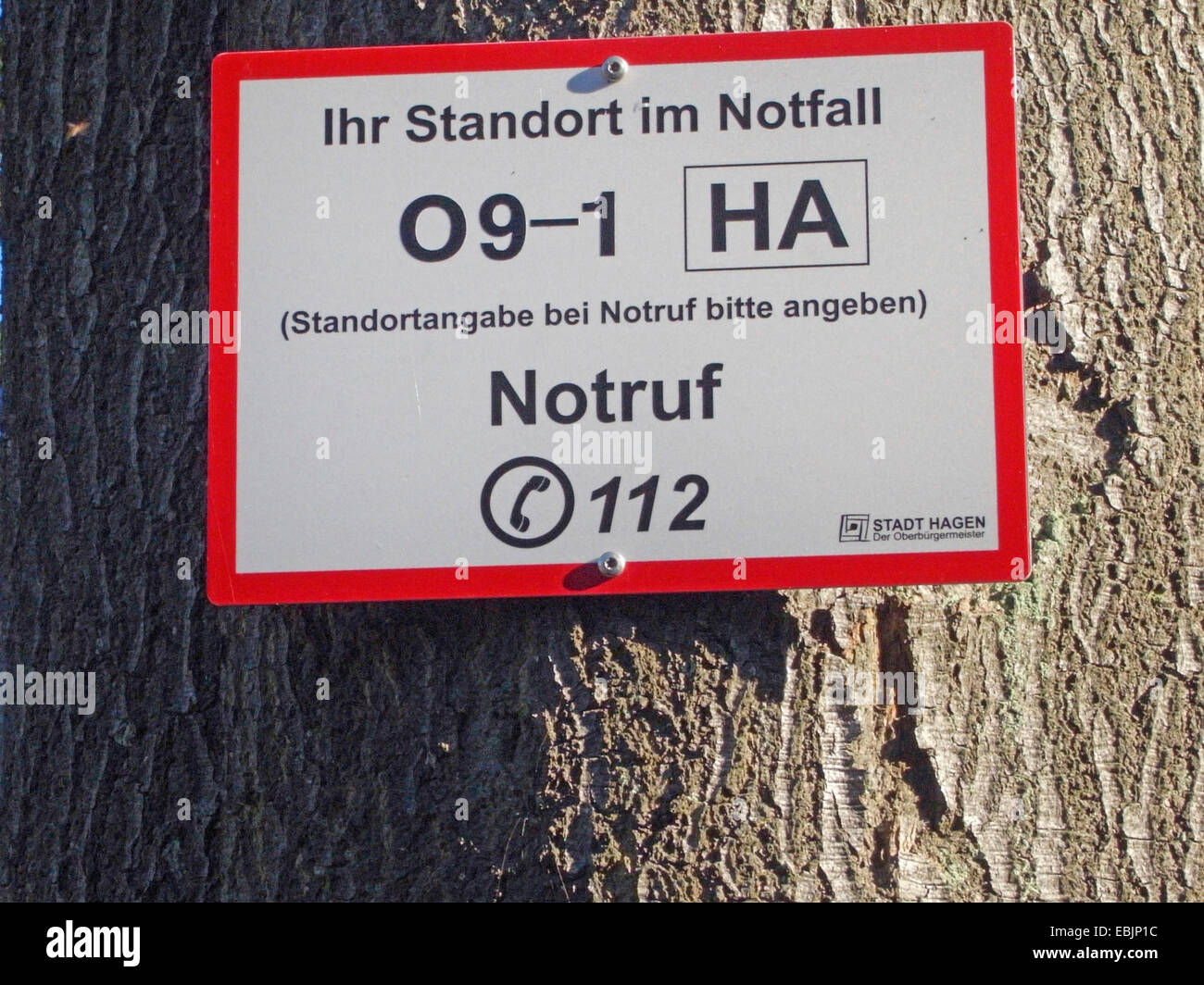 Punkt in einem Wald, Deutschland zu retten Stockfoto